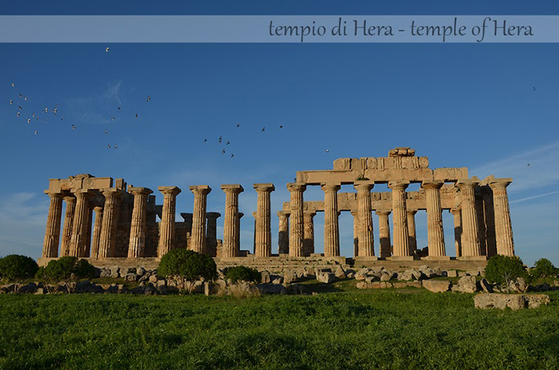 Templi tempio Selinunte b&b archeologico