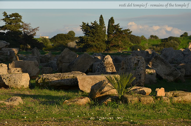 Parco Archeologico Selinunte Castelvetrano b&b